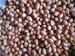 Java Peanut 70/80